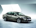 thumbs_VW Passat B7-003
